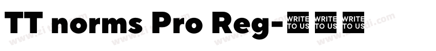 TT norms Pro Reg字体转换 TT norms Pro Reg字体转换